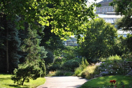 botanicka-zahrada-uk-praha-venkovni-a-sklenikova-expozice